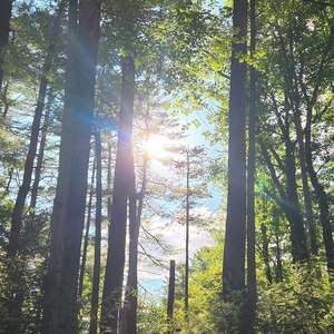 Meet your Posher, Renee